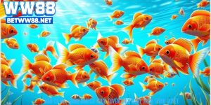 Bắn Cá H5: Game Bắn Cá Trực Tuyến Chơi Ngay Trên Trình Duyệt