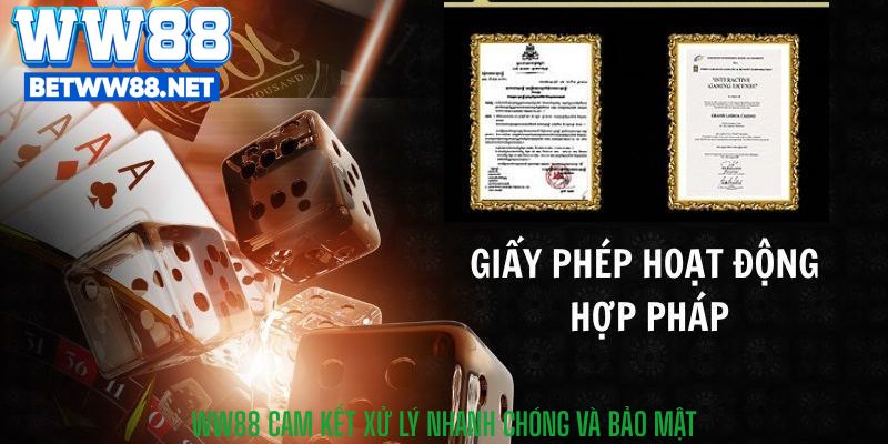 WW88 cam kết xử lý nhanh chóng và bảo mật