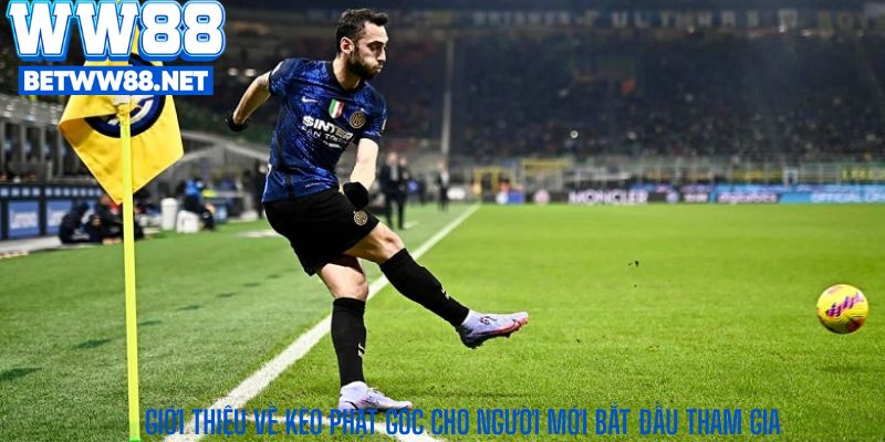 Giới thiệu về kèo phạt góc cho người mới bắt đầu tham gia
